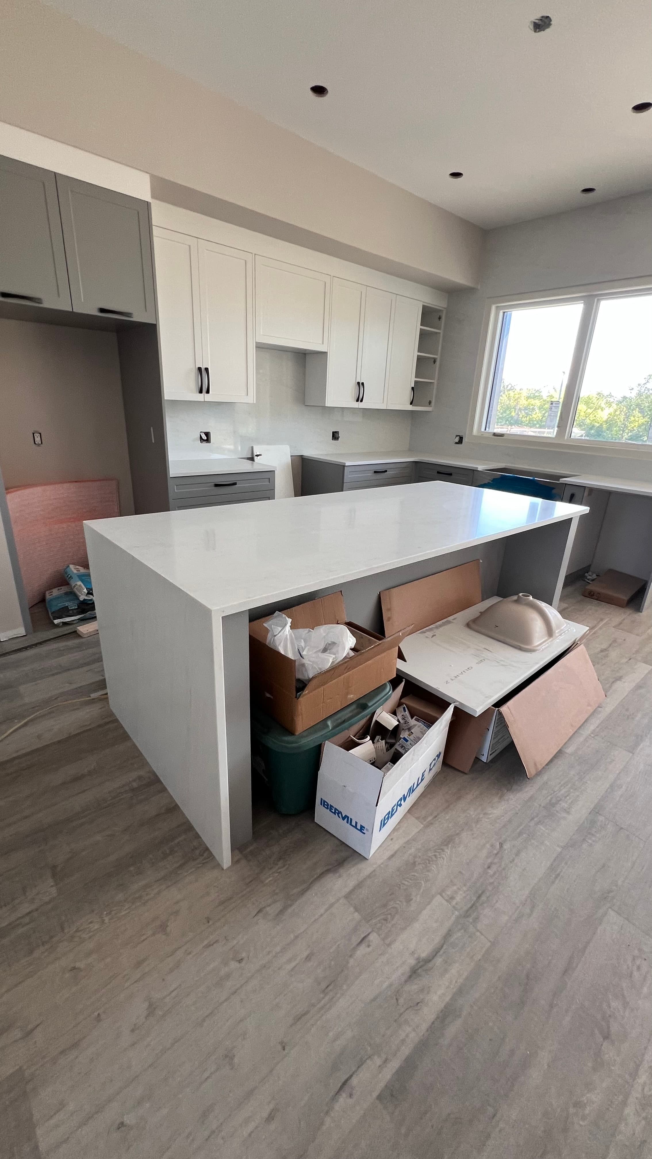 Taj Mahal Quartzite countertop — Open-concept reno in Sage Creek, Winnipeg